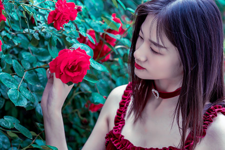 沙漠边缘的“甜蜜事业”焕发新活力